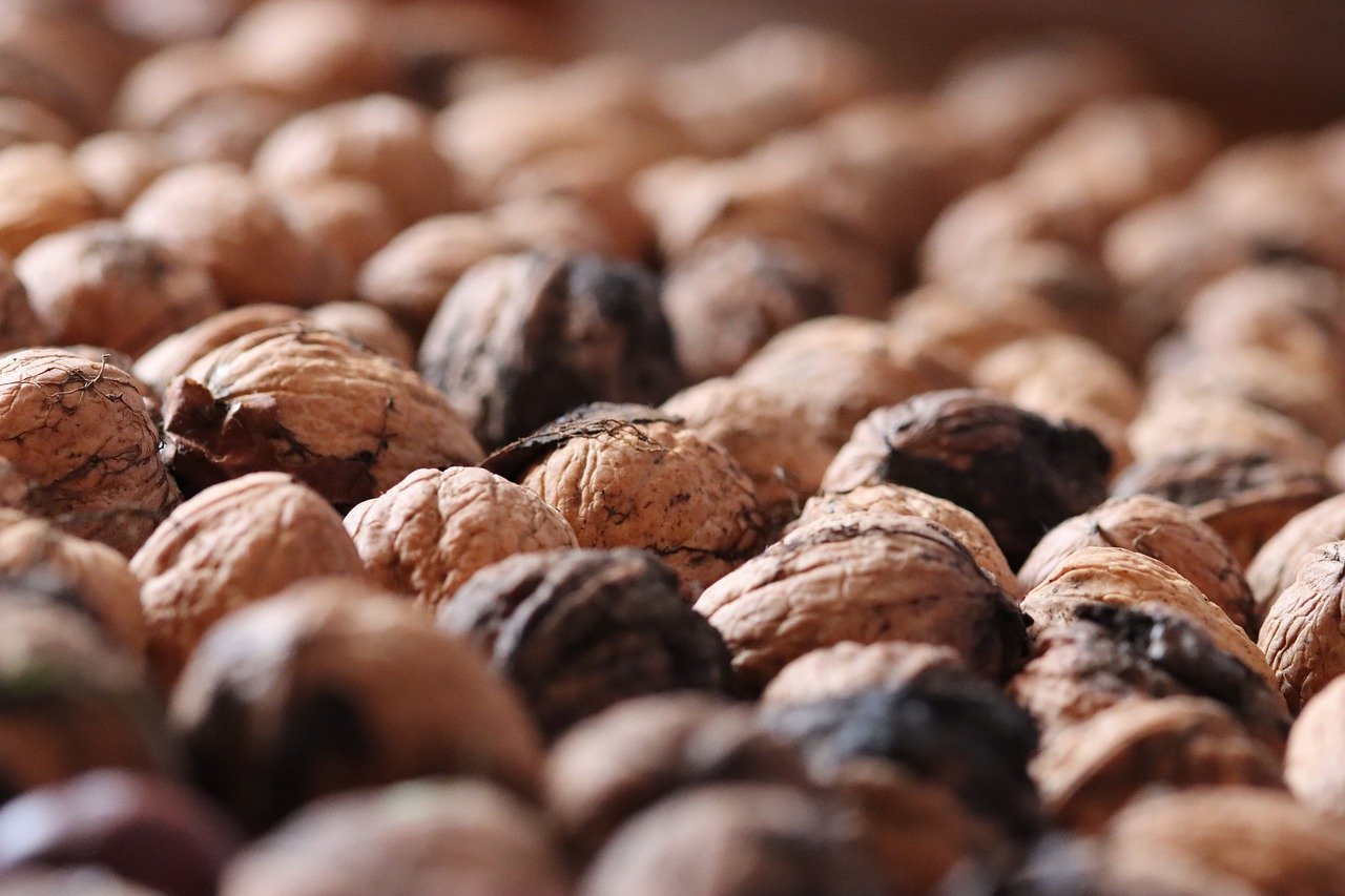 DDOS攻击测试|gopro app详情下载教程