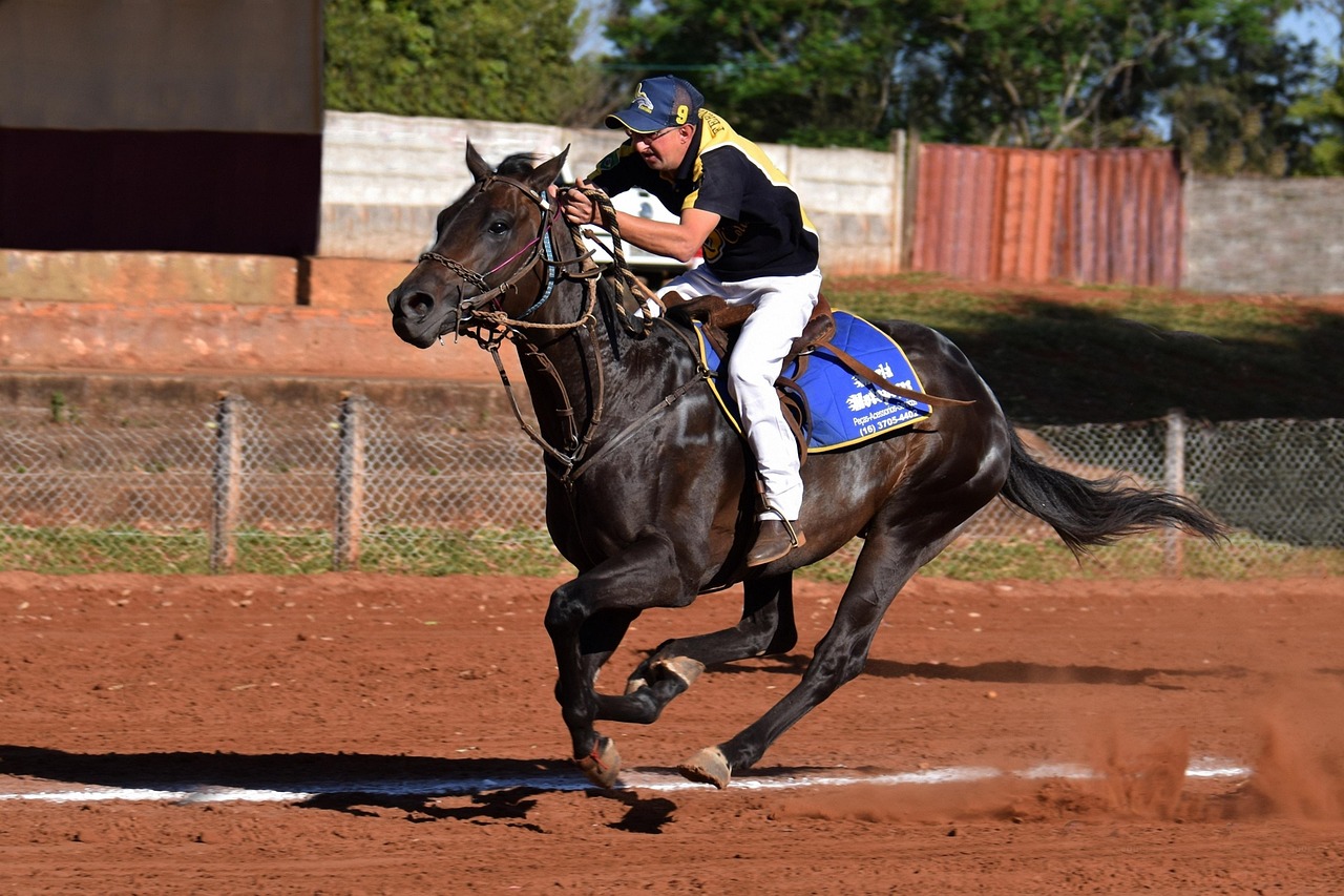ddos：实名认证，使每个人在网络时代有一个明确的身份