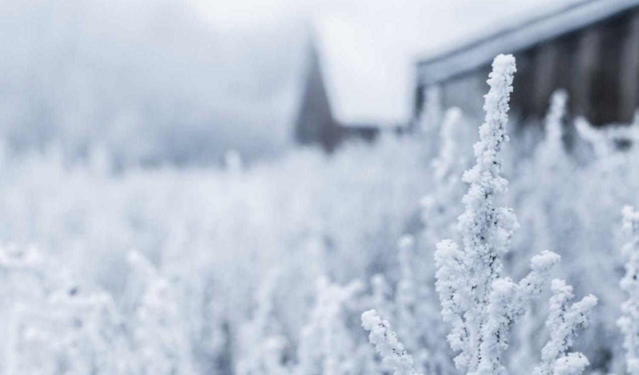 DDOS攻击教程|购买商标的平台叫什么平台